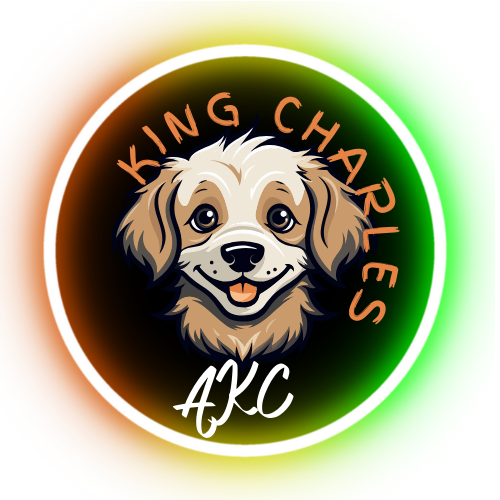 AKC King Charles